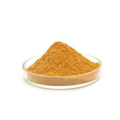 Wholesale Plant extract Rhubarb extract 10:1 Rhubarb Root Extract Powder
