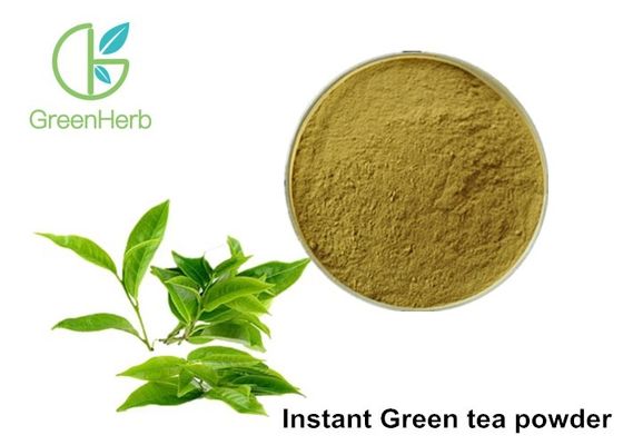 Sofortige Polyphenole des grüner Tee-Auszug-Pulver-30% für Kaffee-Getränkeprodukt